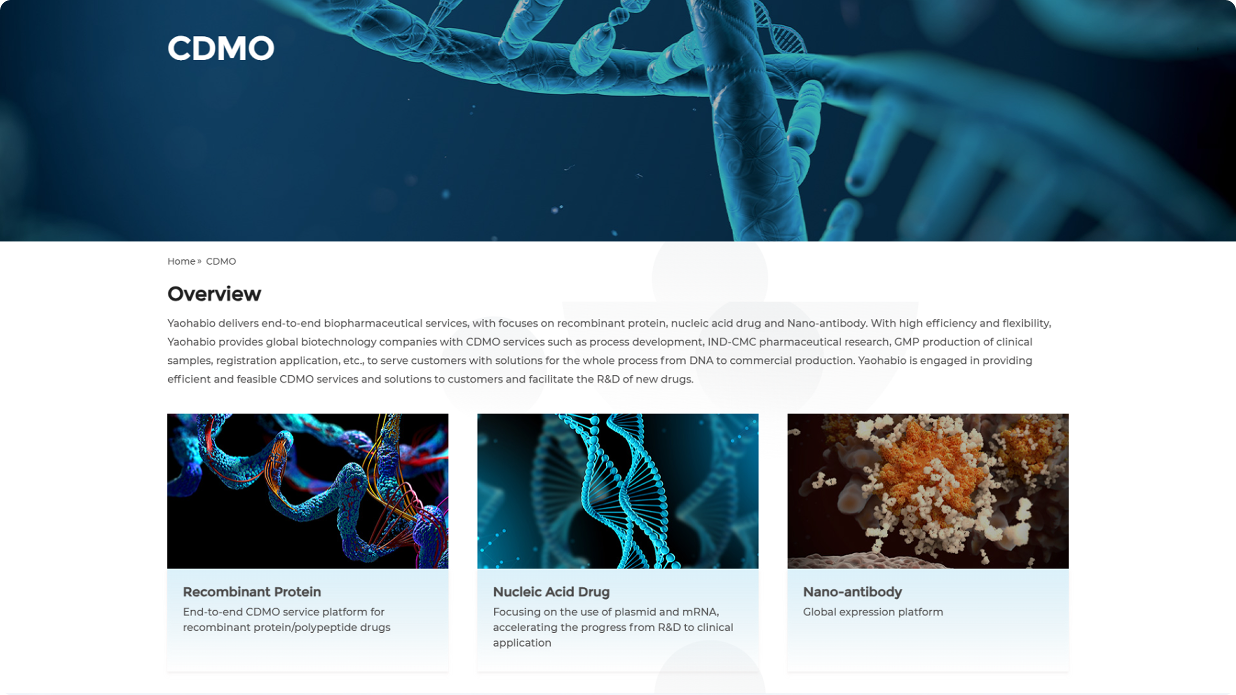 Yaohaibio 海外站(图5)