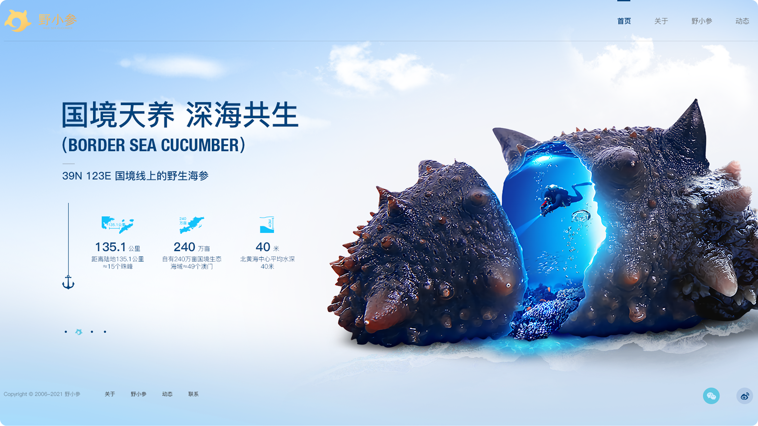 野小参品牌官网(图4)